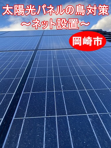 岡崎市｜太陽光パネルの鳥対策におすすめの方法＆鳥よけネット設置のご提案